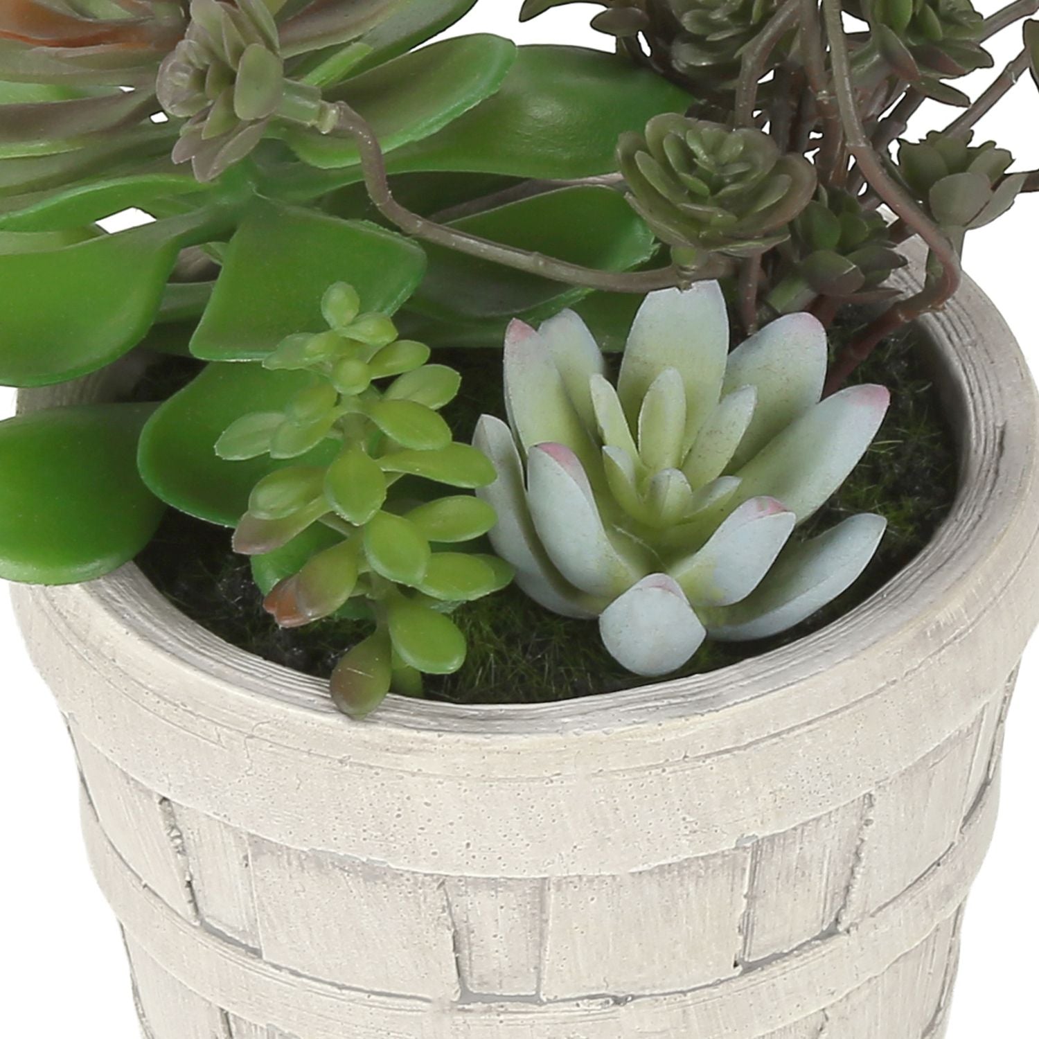 Artificial Succulent, Table Decor (Set of 2) - Green / Beige
