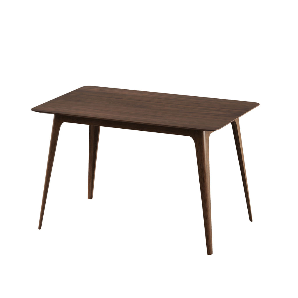 Modern Aesthetic Dining Table