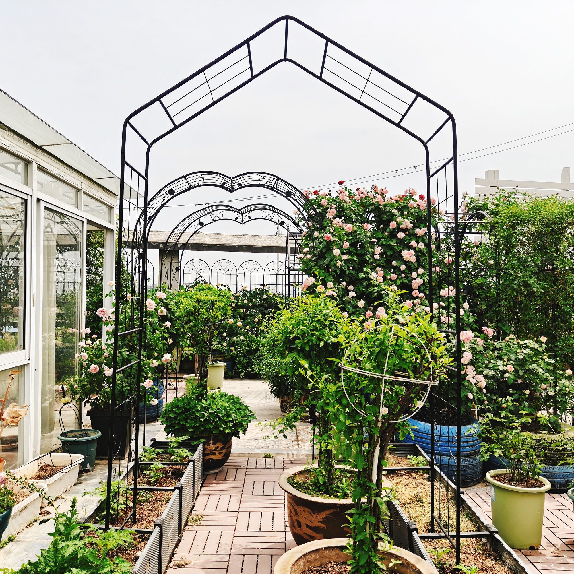 Garden Arch, Climbing Plants Support Outdoor - Black