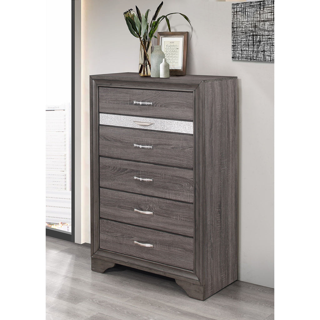 Ryder - Sparkle Chest - Gray