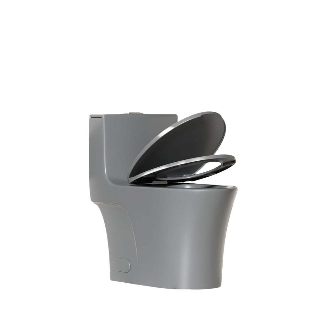 1 Piece Toilet With Dual Flush And Soft Closing Seat