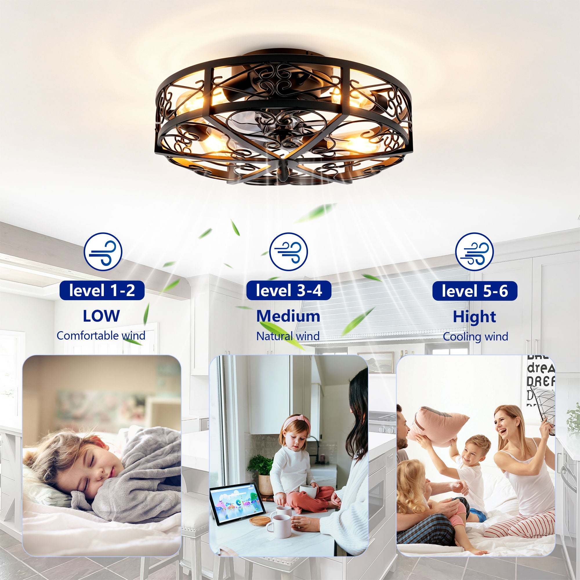 Mounting Type Ceiling Fan, Reversible Motor, DC Remote Control, 6 Speed Ceiling Fan - Matte Black