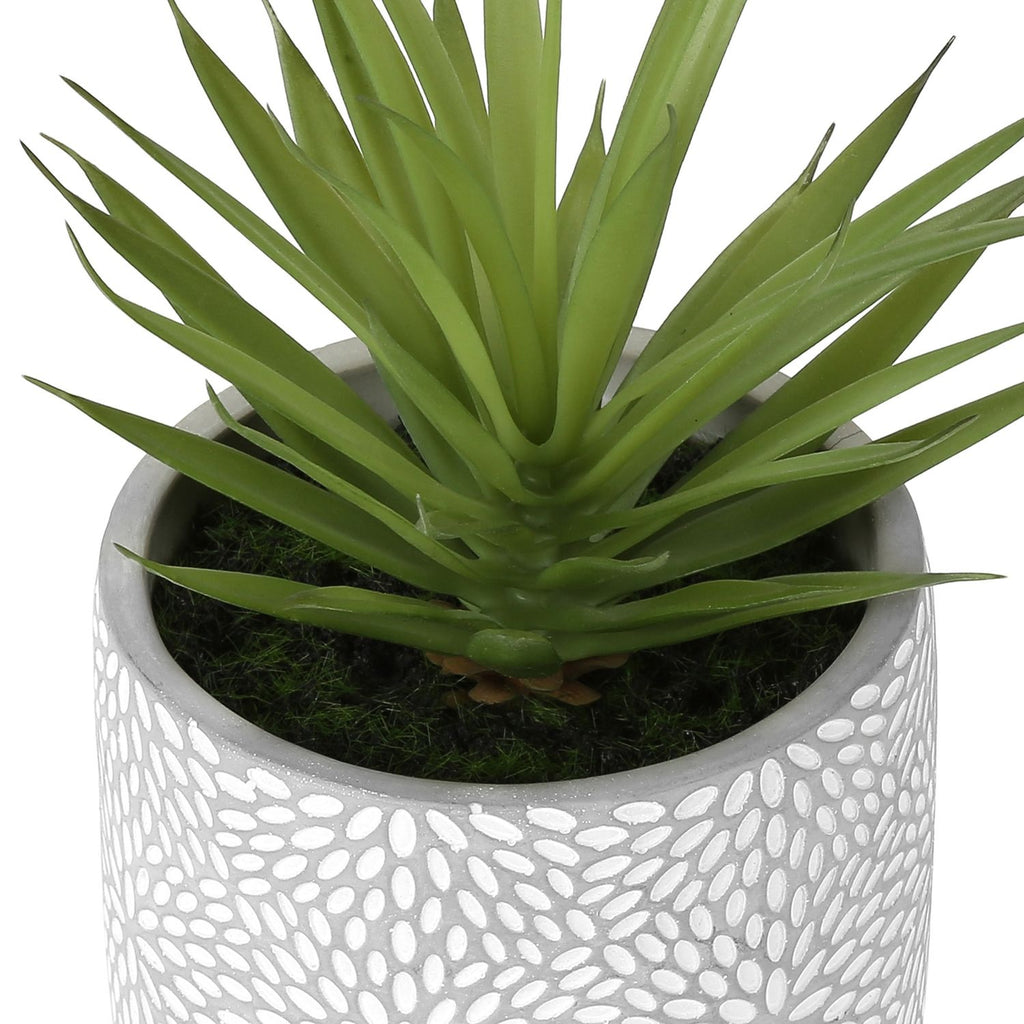 Artificial Succulent, Table Decor (Set of 2) - Green - Plastic
