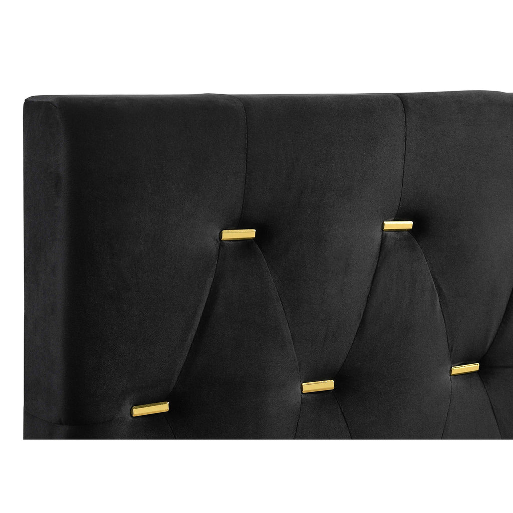 Lexie - Tufted Panel Bed