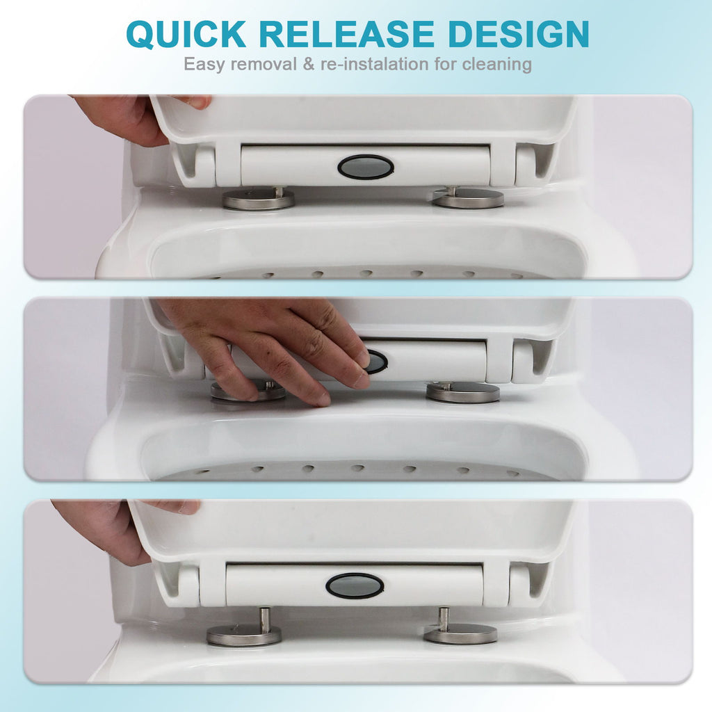1 Piece Toilet For Bathroom, Dual Flush, Soft Closing Seat - White