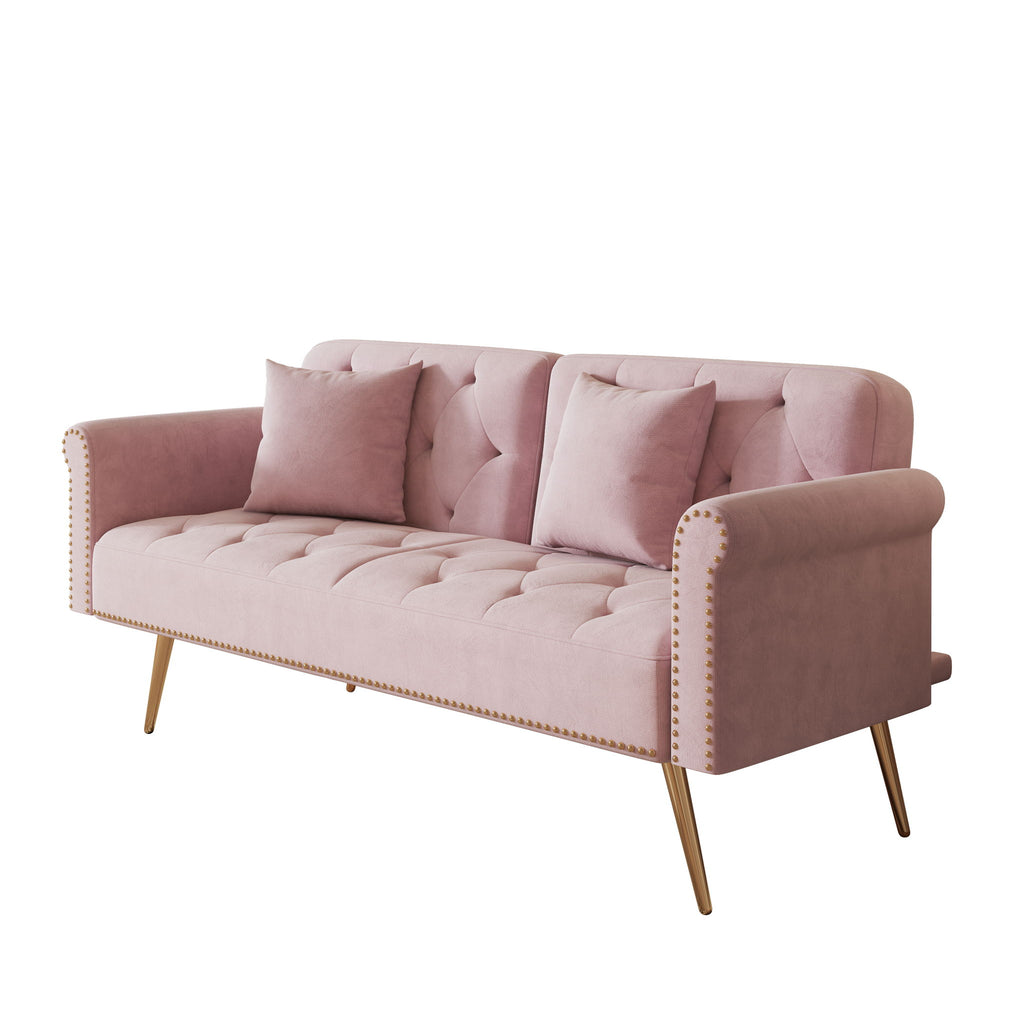 Luxurious Sofa Bed With Nail Head Trim And Matching Pillow
