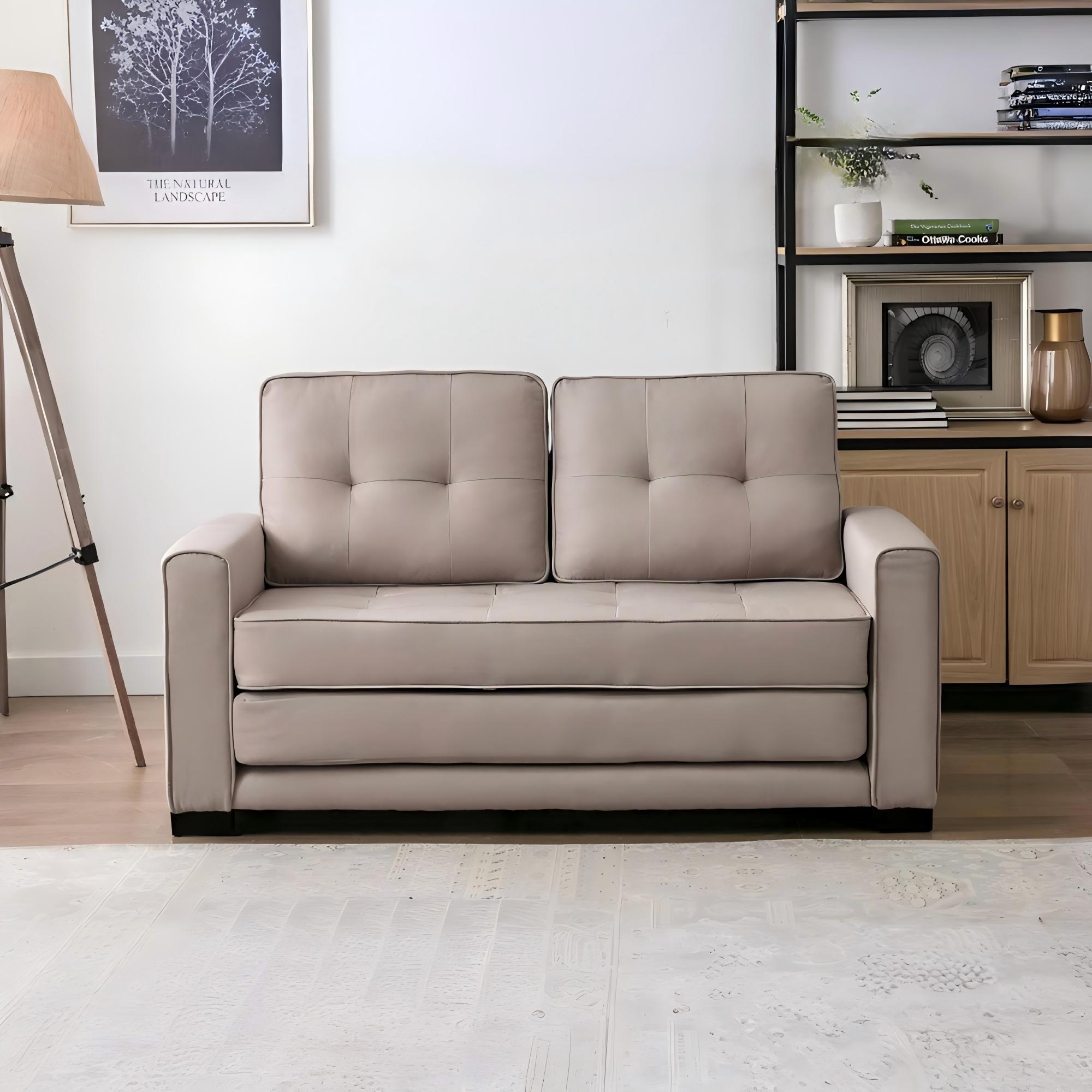 Upholstered Pull Out Sleeper Loveseat