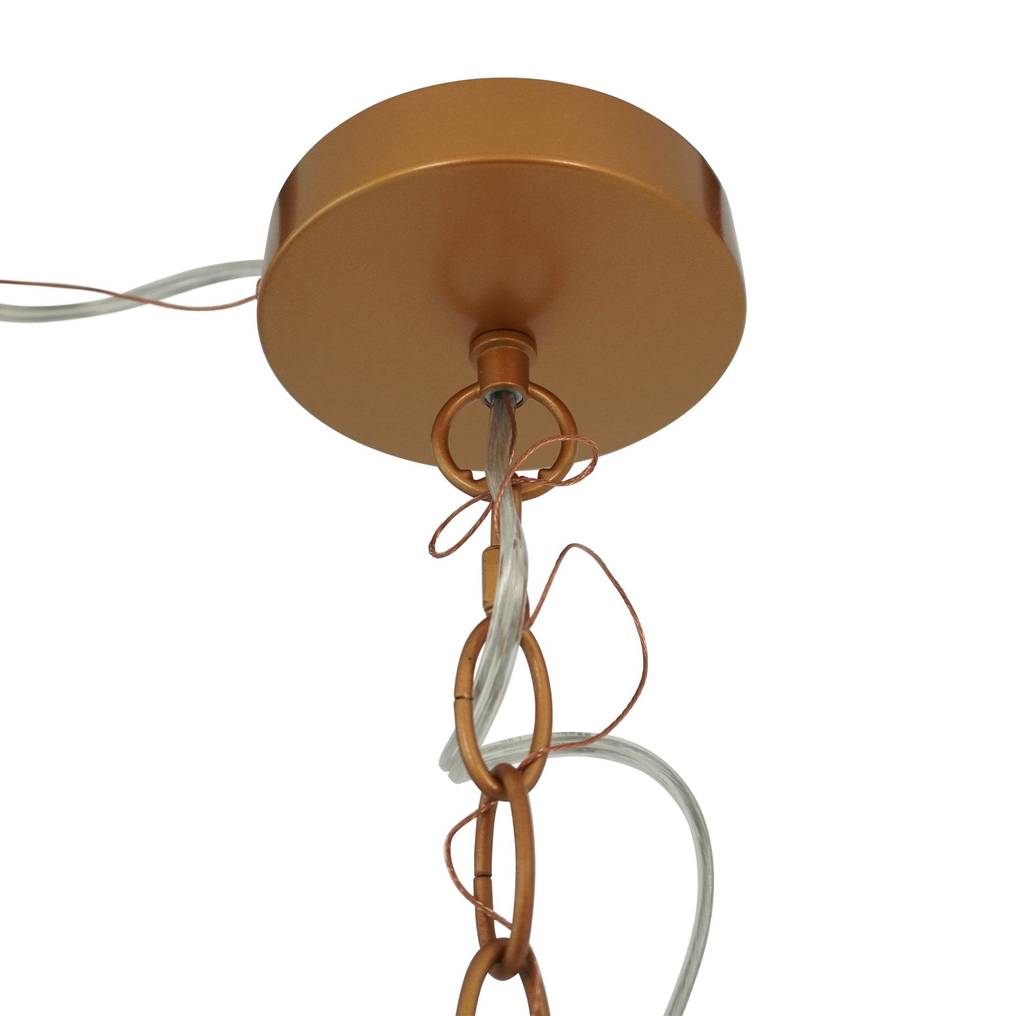 Delphi - Pendant Lamp - Transparent