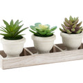 Artificial Succulent, Table Decor (Set of 3) - Green / Beige