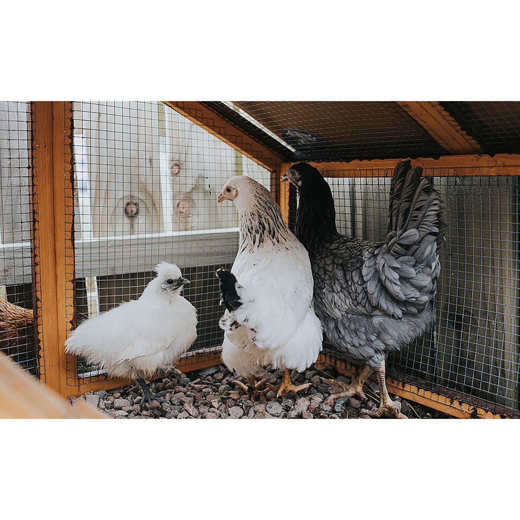 Galvanized Hardware Cloth, Gauge Metal Wire Fencing Roll For Garden And Animal Protection - Silver