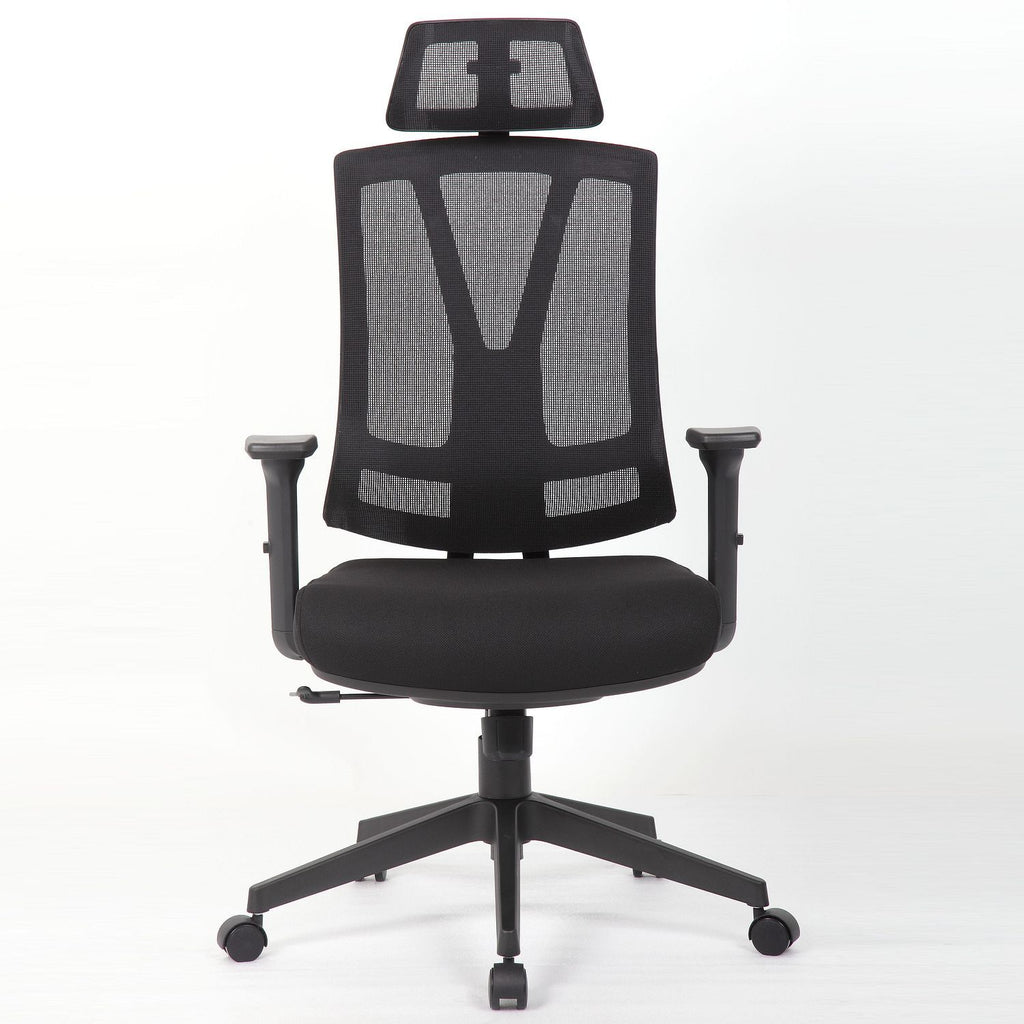 Office Chair With Adjustable Headrest & Back, High Back Swivel Desk Chair - Black