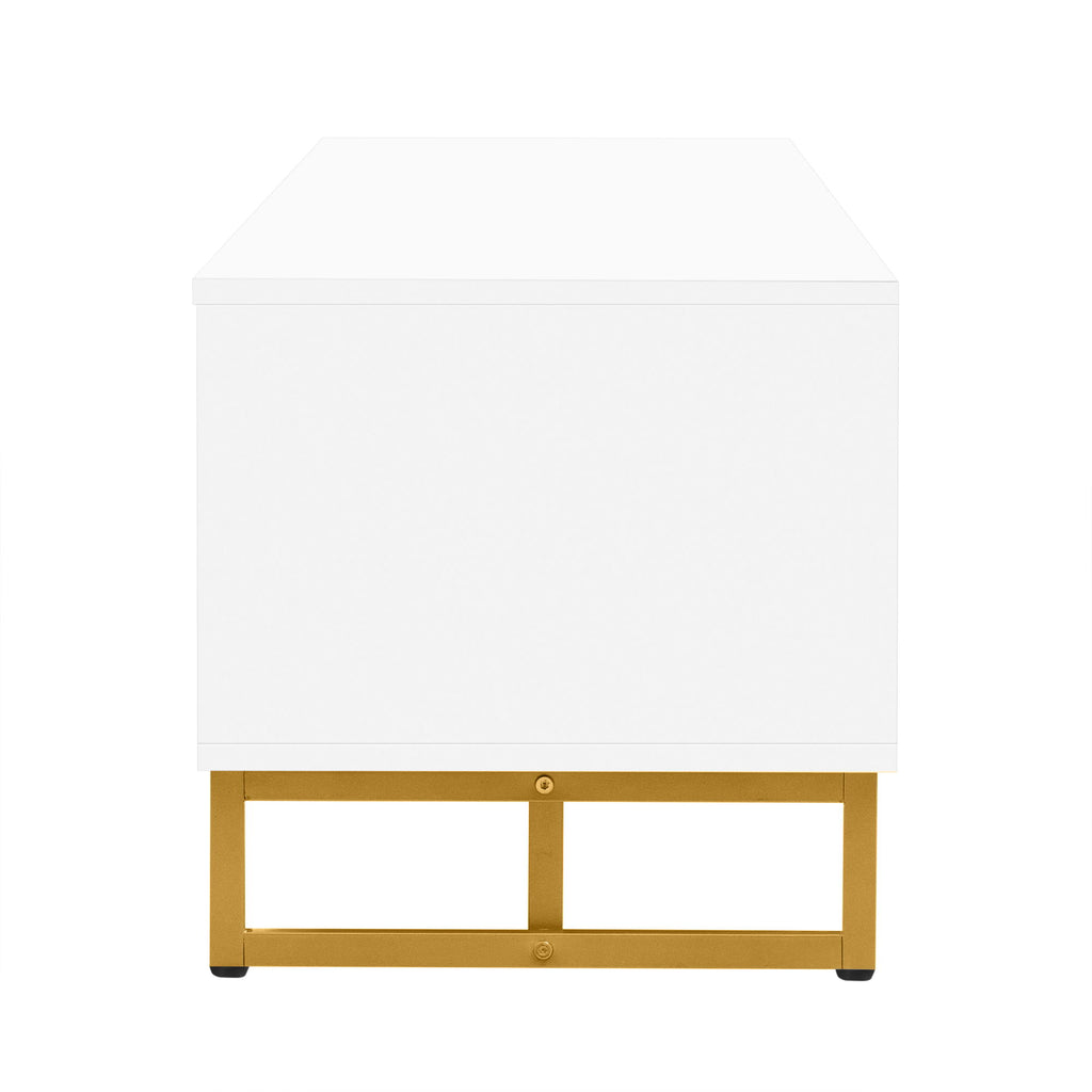 Modern TV Stand With Storage For Living Room