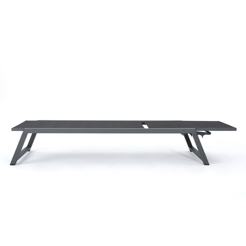Myers - Modern Chaise Lounge Set With Adjustable Back