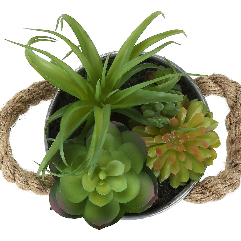 Artificial Succulent, Table Decor (Set of 2) - Green / White