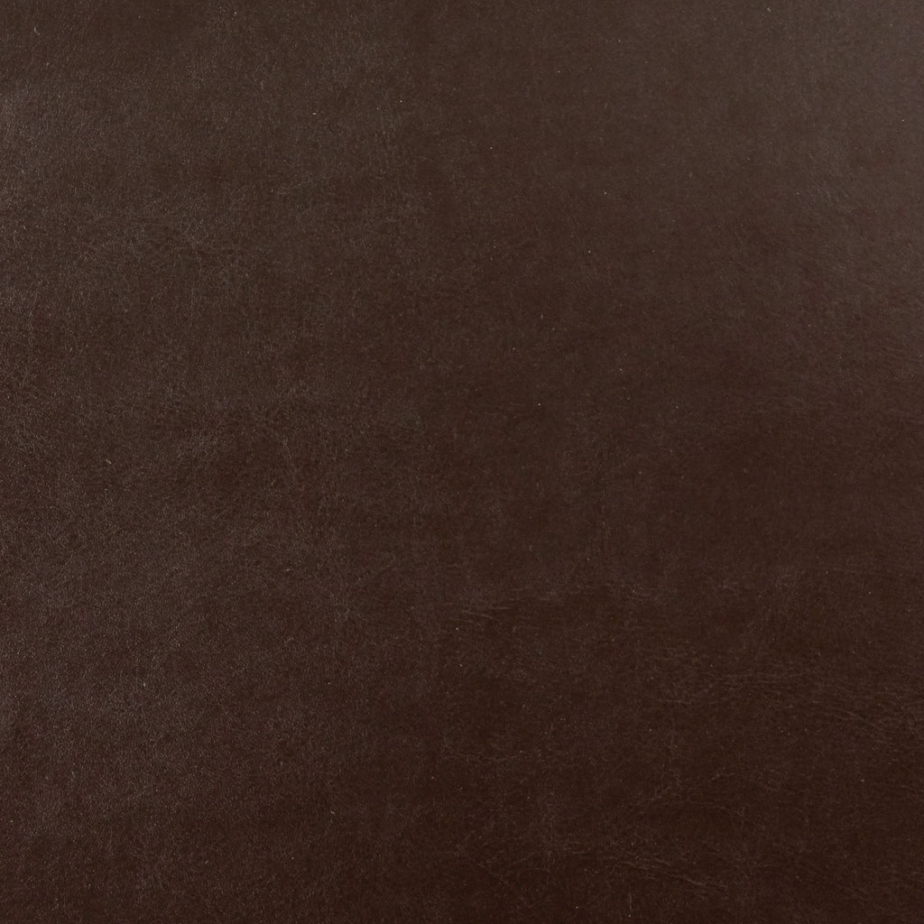 Hollister - Club Chair With Birch Legs - Brown