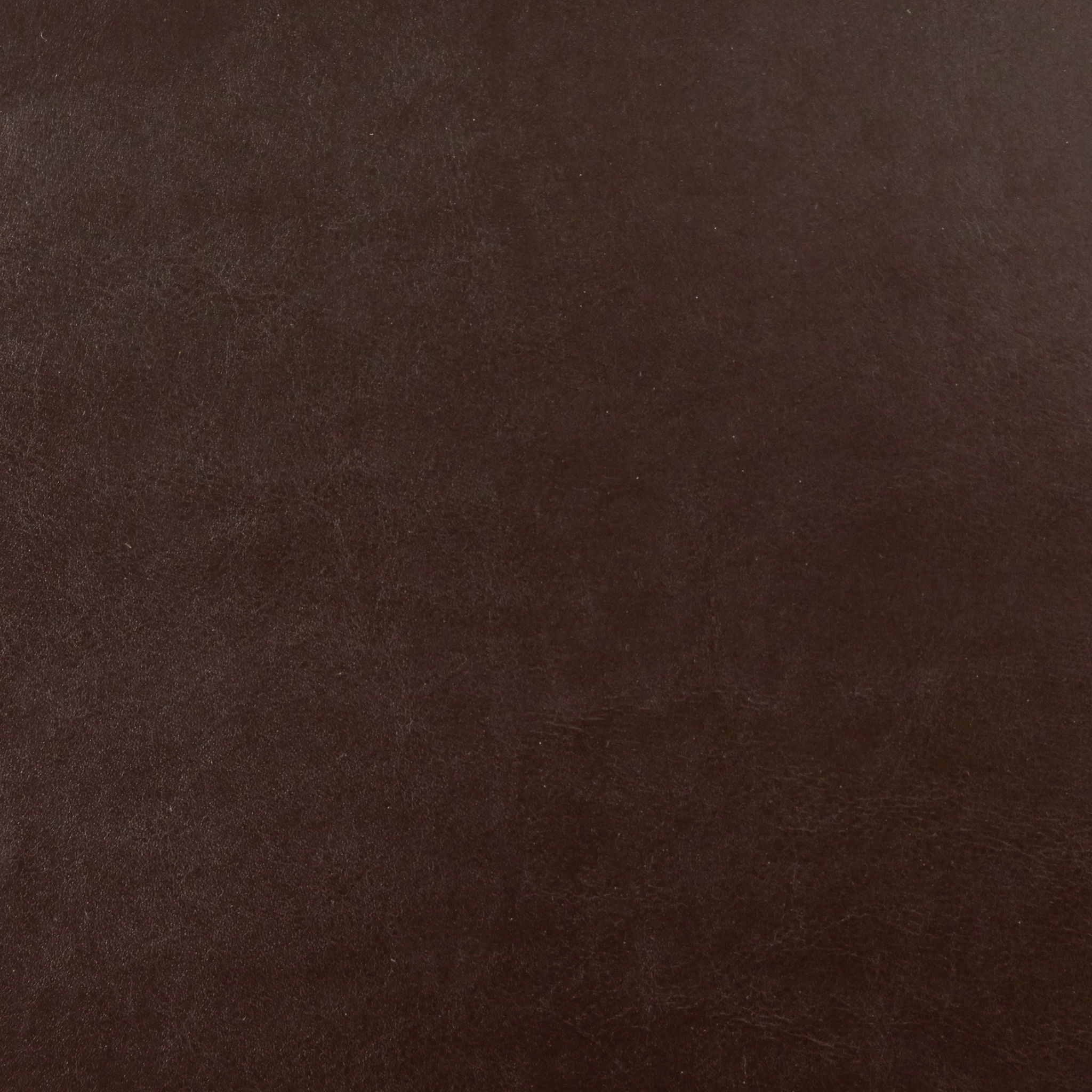 Hollister - Club Chair With Birch Legs - Brown