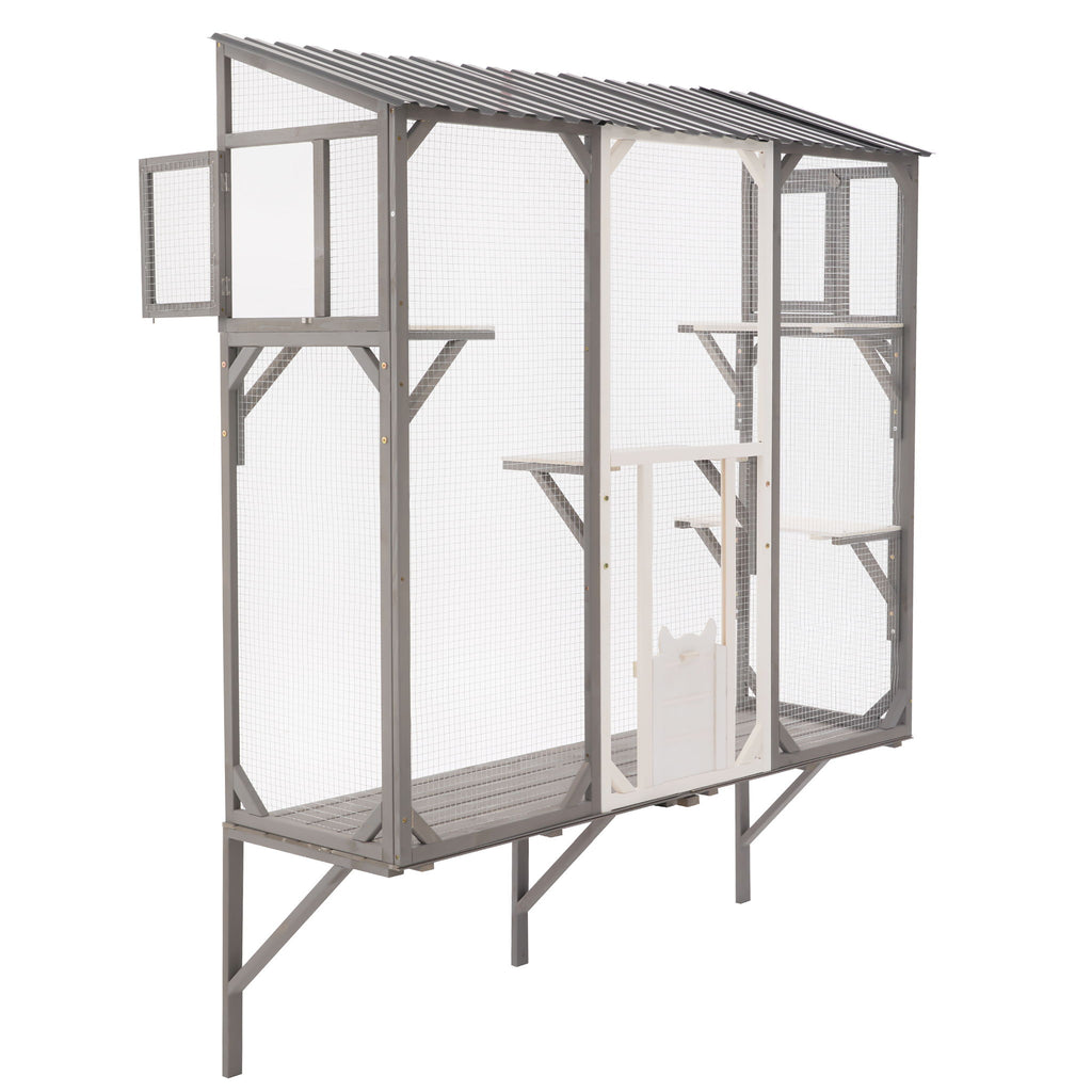Outdoor Cat Catio With Platforms
