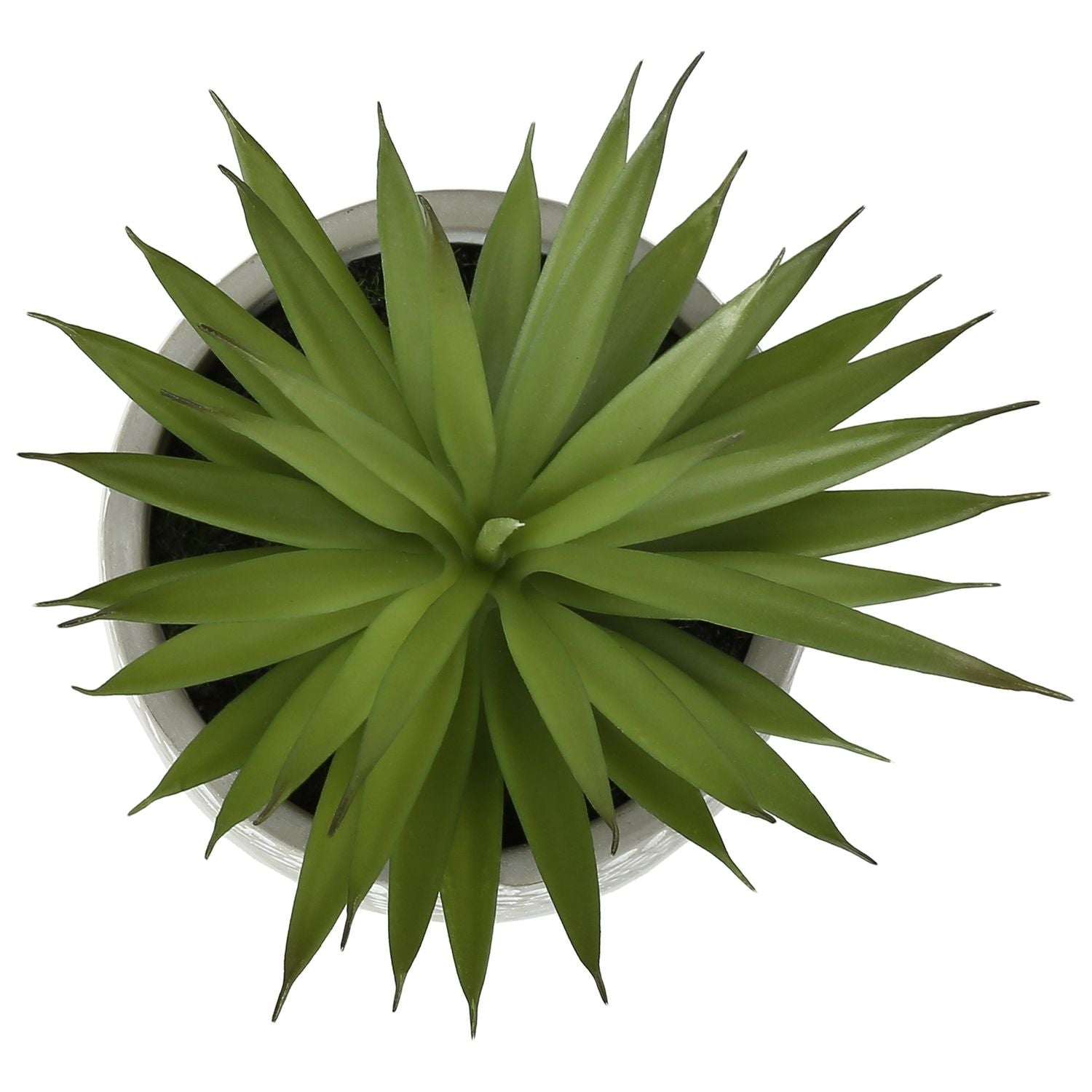 Artificial Succulent, Table Decor (Set of 2) - Green - Plastic
