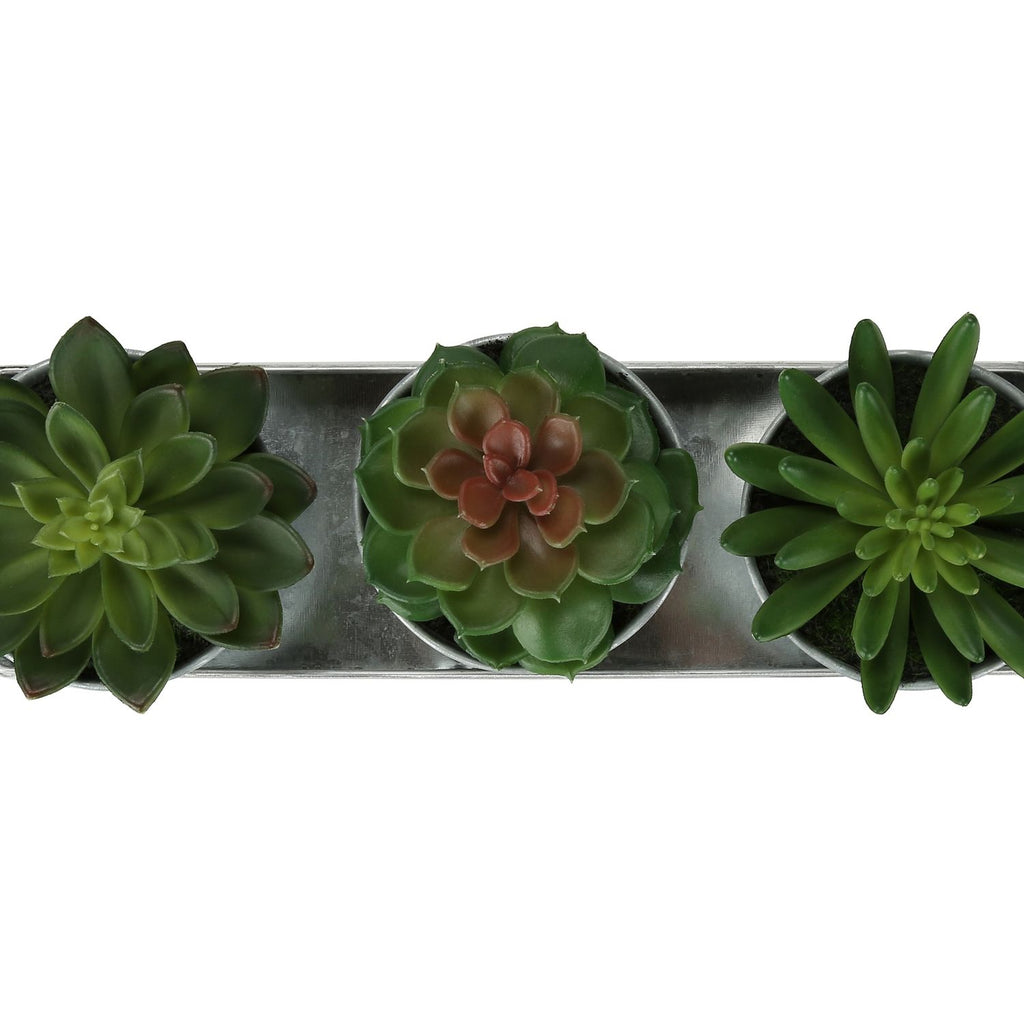 Artificial Succulent, Table Decor (Set of 3) - Green