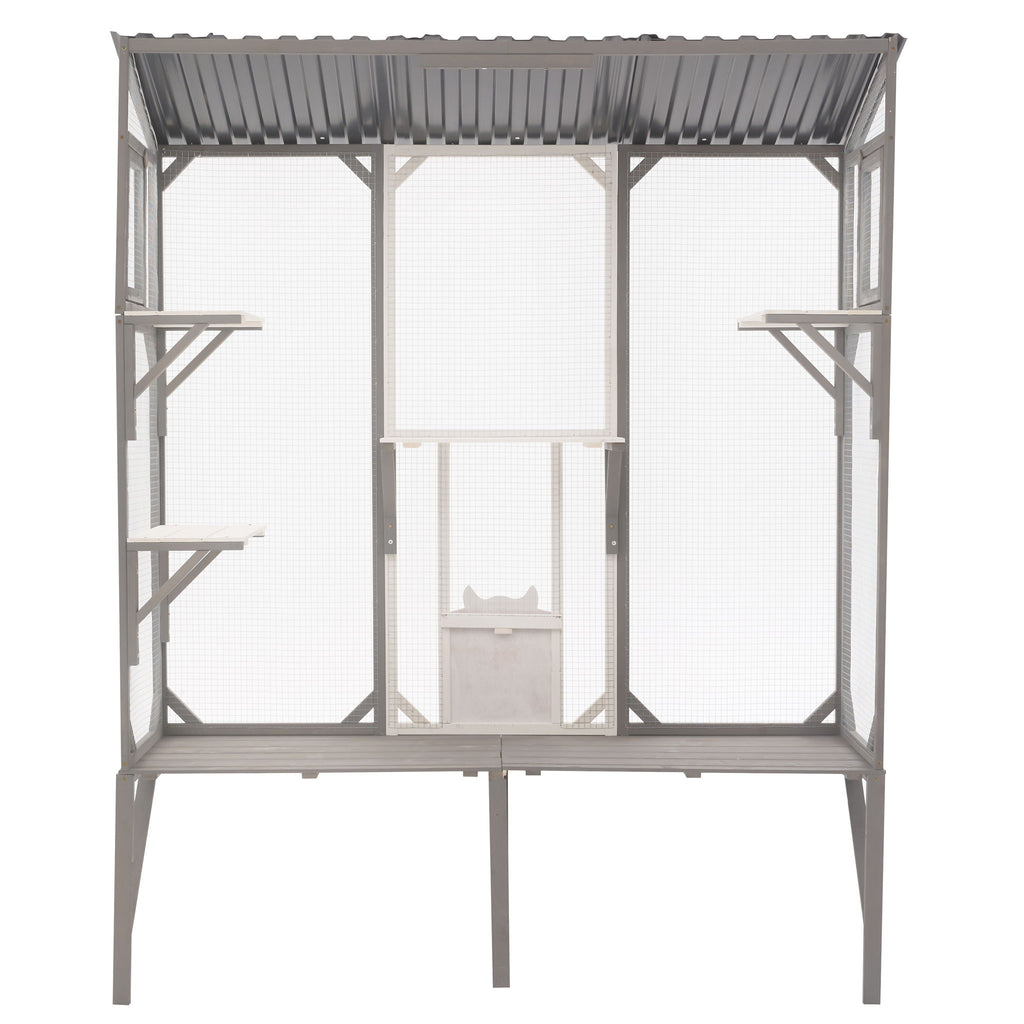Outdoor Cat Catio With Platforms