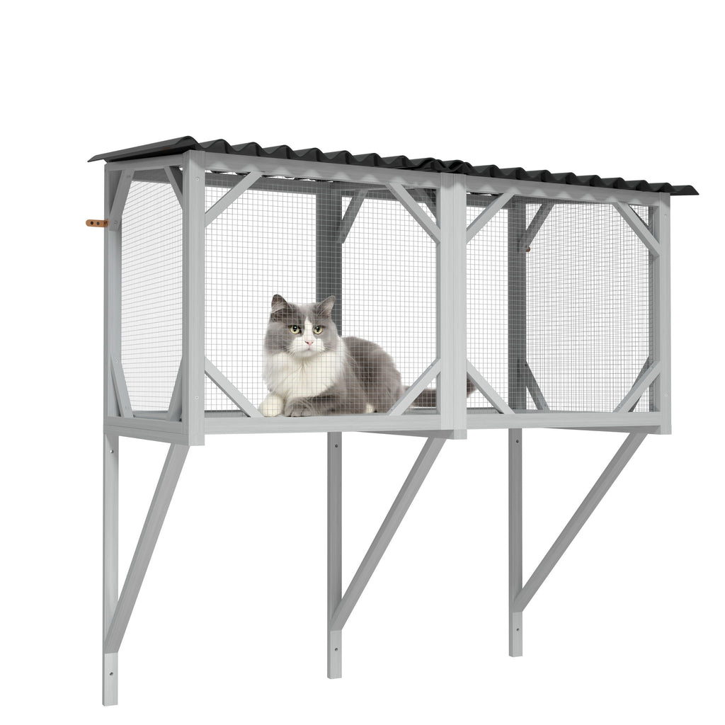 Cat Window Box