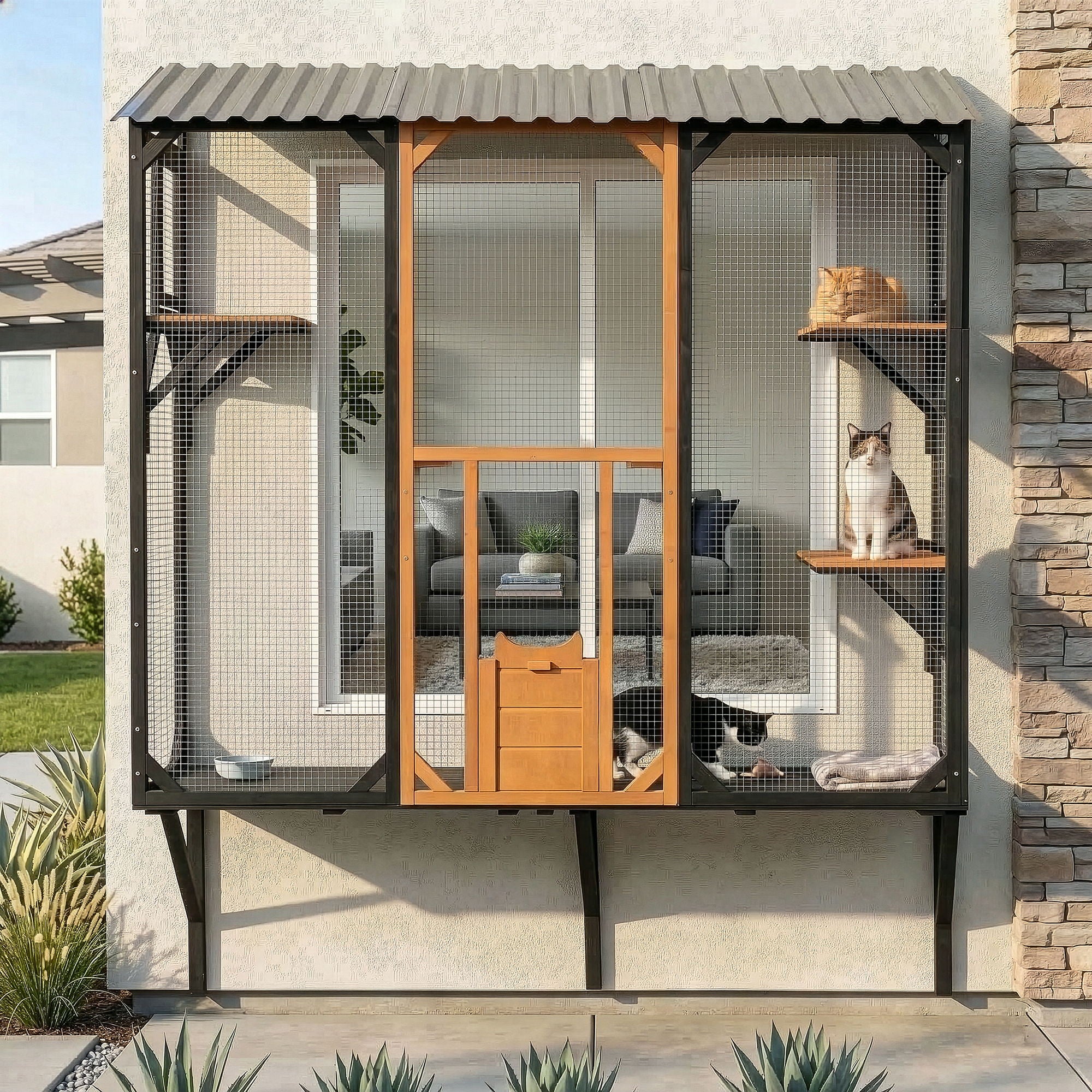 Outdoor Cat Catio With Platforms