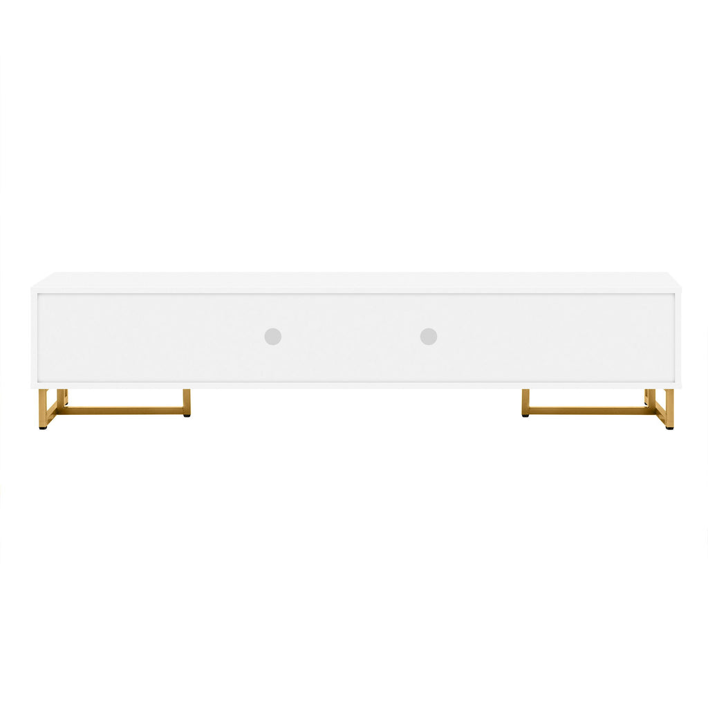 Modern TV Stand With Storage For Living Room