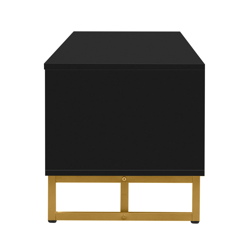 Modern TV Stand With Storage For Living Room