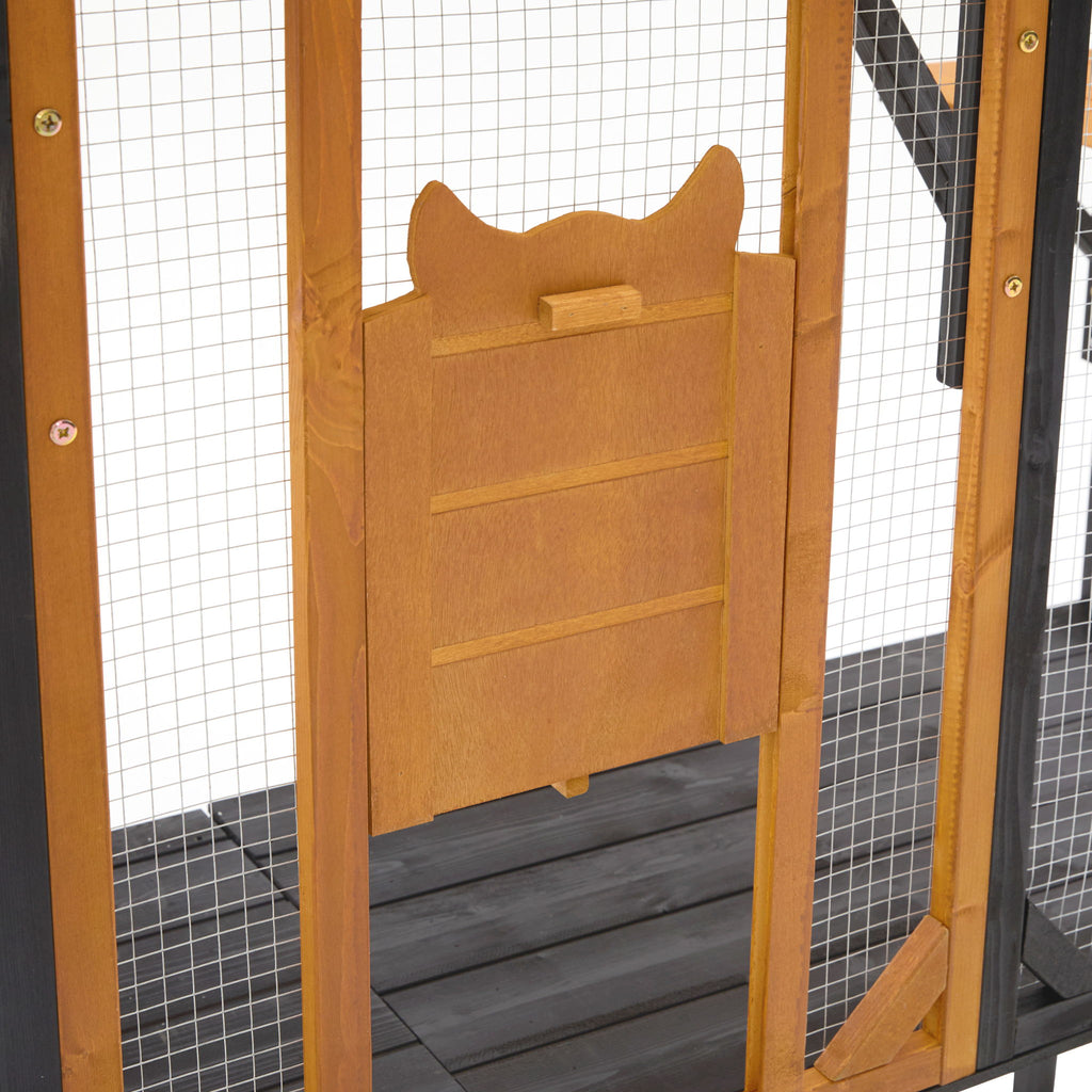 Outdoor Cat Catio With Platforms