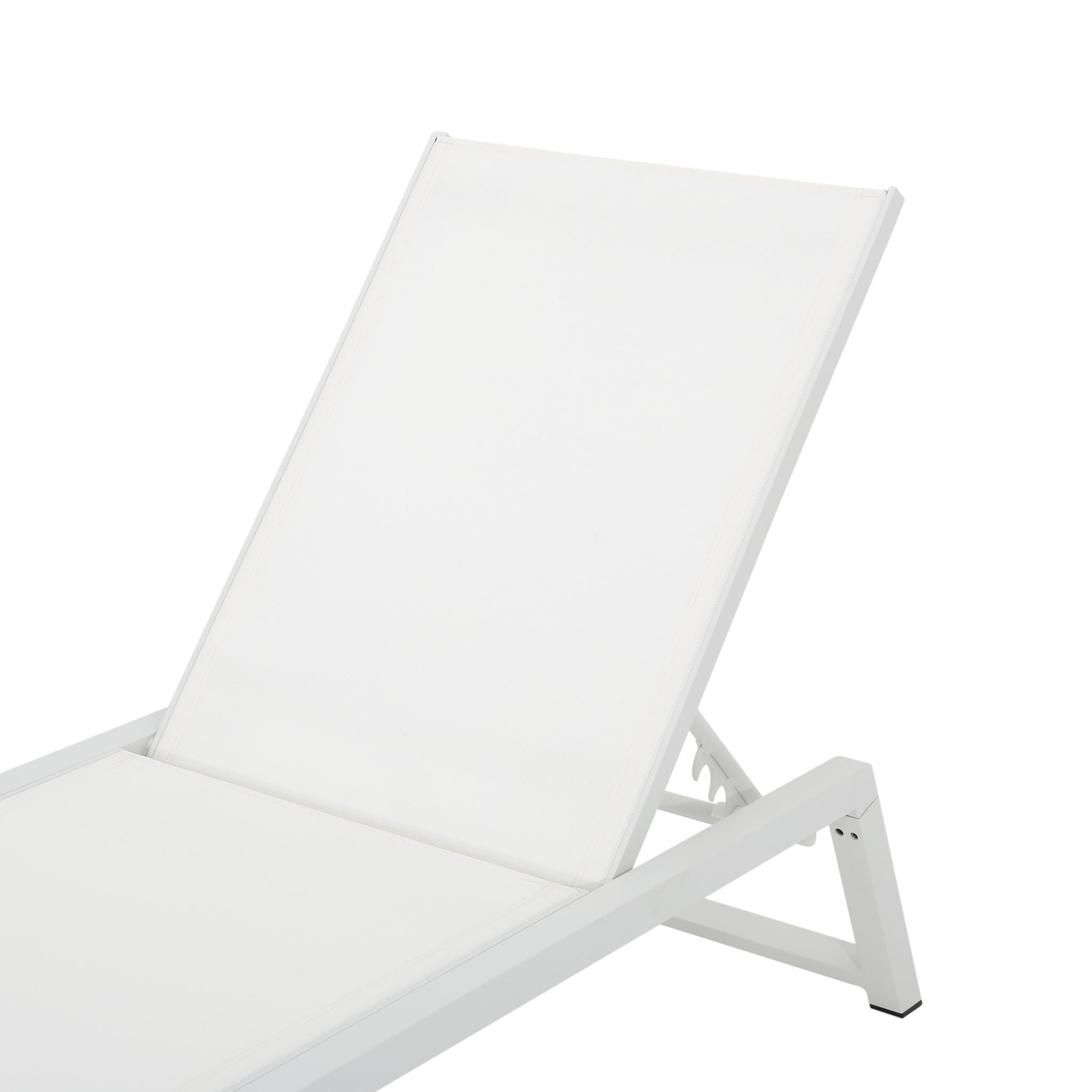 Myers - Modern Chaise Lounge Set With Adjustable Back