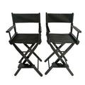 Casual Home Director's Chair, Foldable Style, Suitable For Adults (Set of 2) - Black