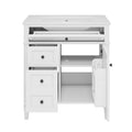 Bathroom Vanity With Top Sink, Storage Cabinet With 2 Drawers, Tip Out Drawer