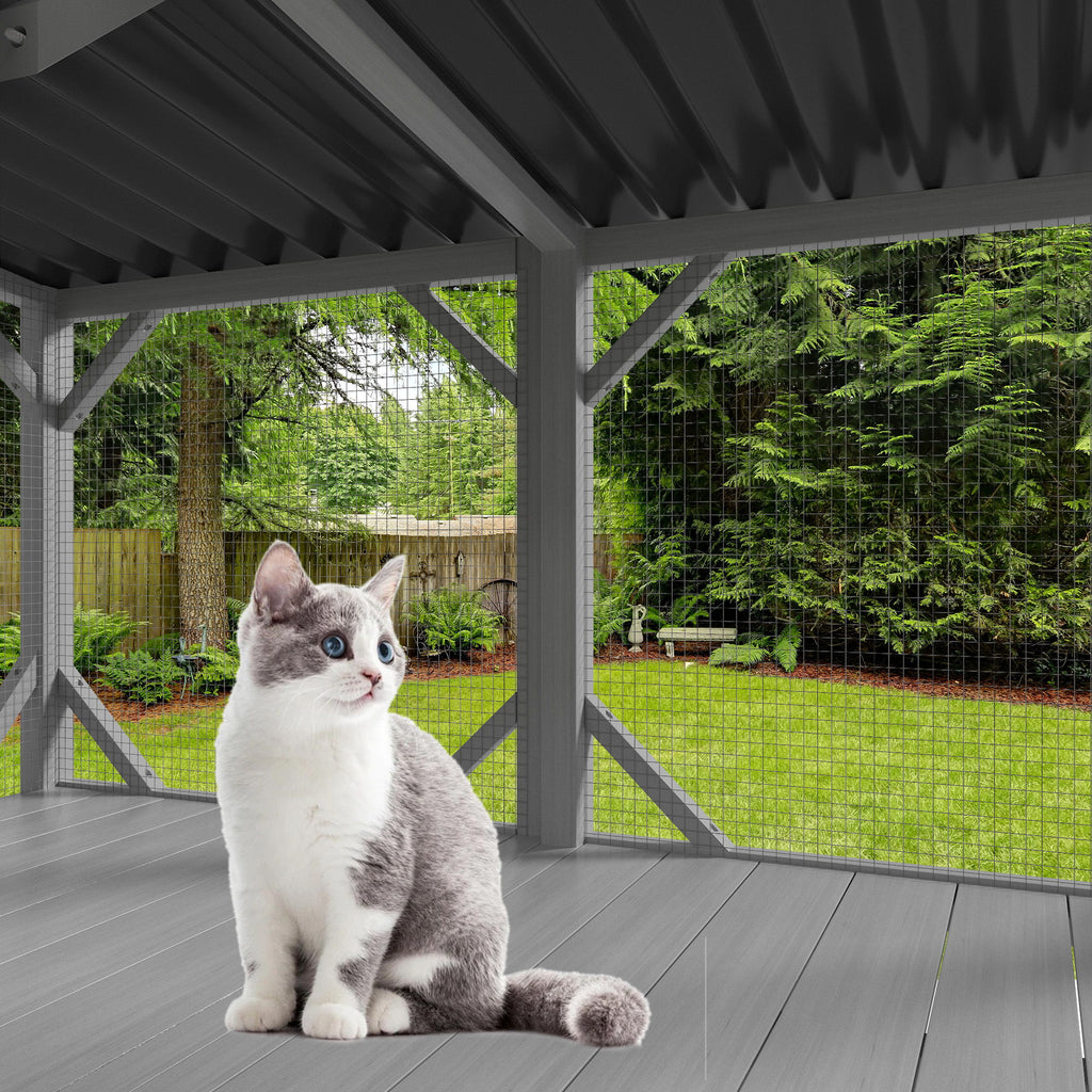 Cat Window Box