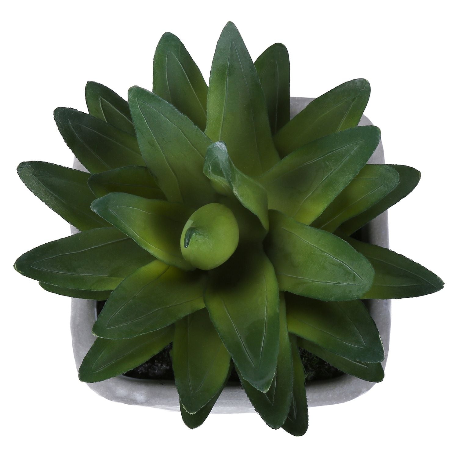 Artificial Succulent, Table Decor (Set of 2) - Green / Gray