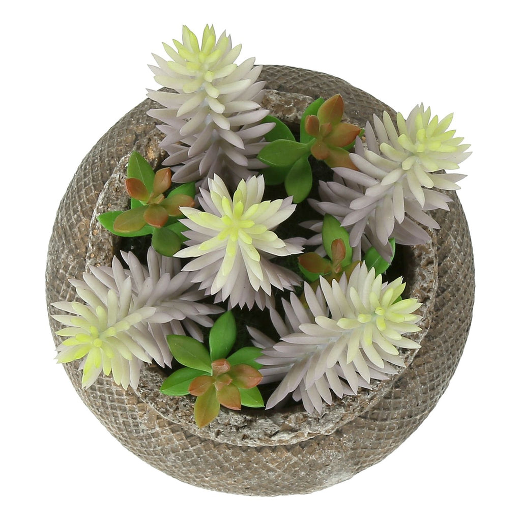 Artificial Succulent, Table Decor (Set of 2) - Green / Brown