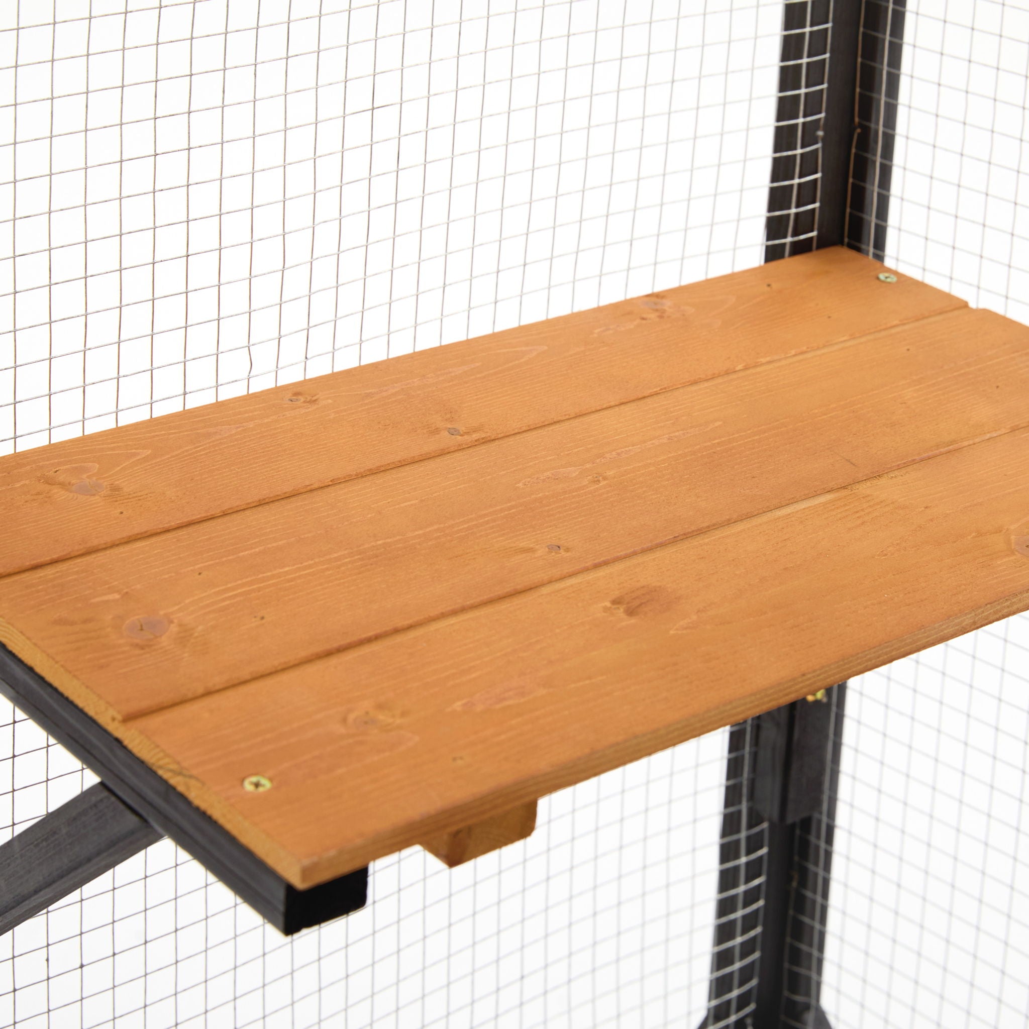 Outdoor Cat Catio With Platforms