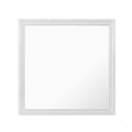 Shaker - Crocodile Metallic Mirror
