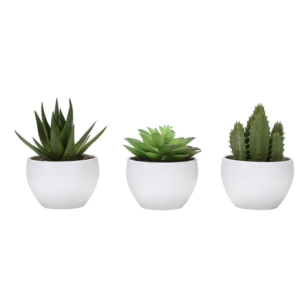 Artificial Succulent Plants (Set of 3)