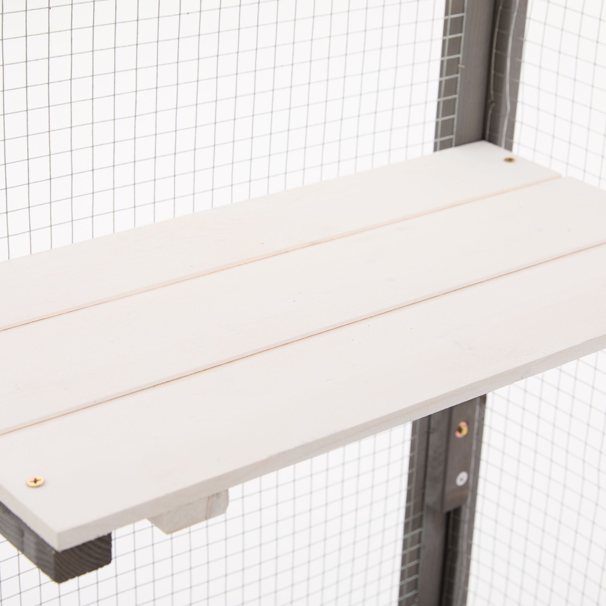Outdoor Cat Catio With Platforms