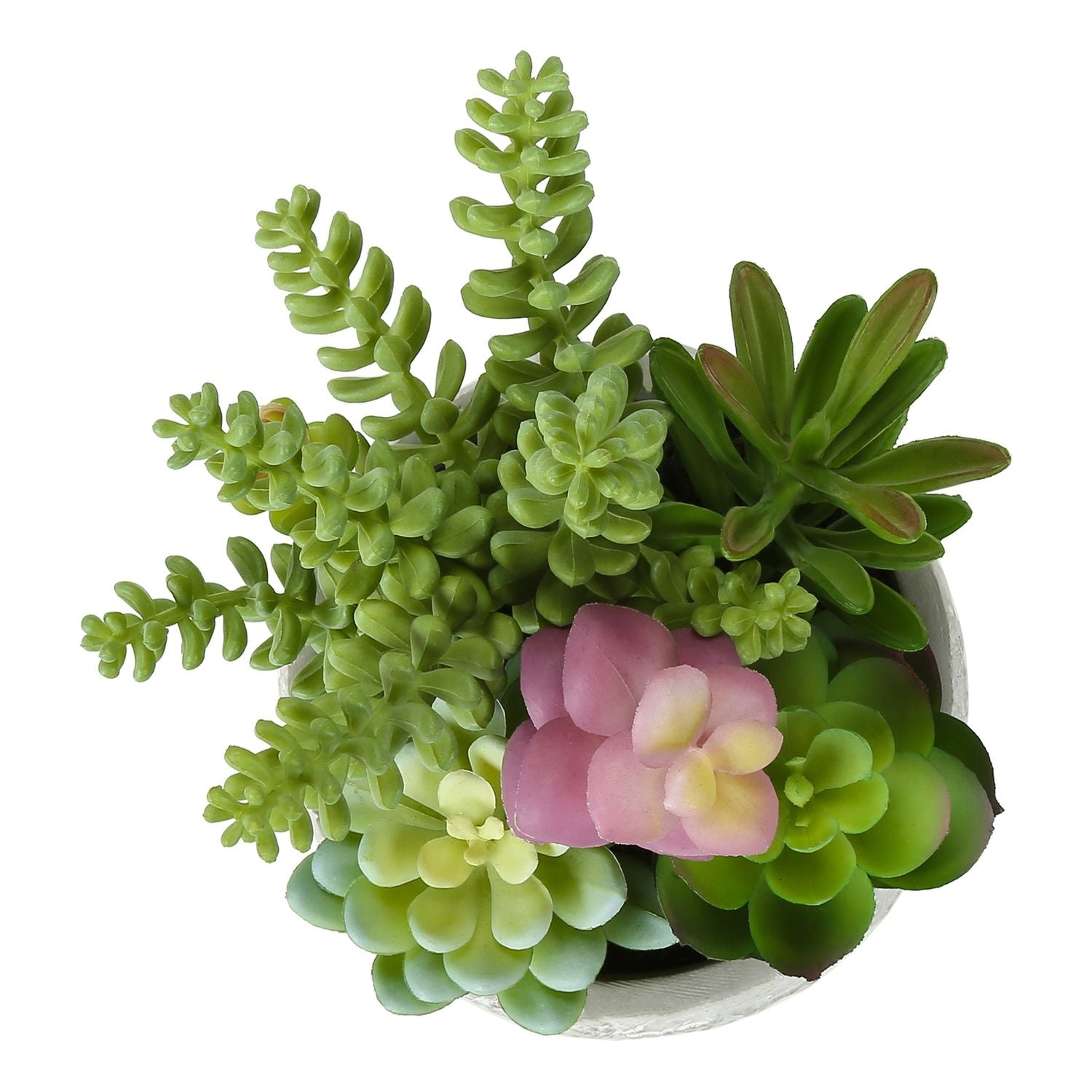 Artificial Succulent, Table Decor (Set of 2) - Green / Gray - Plastic