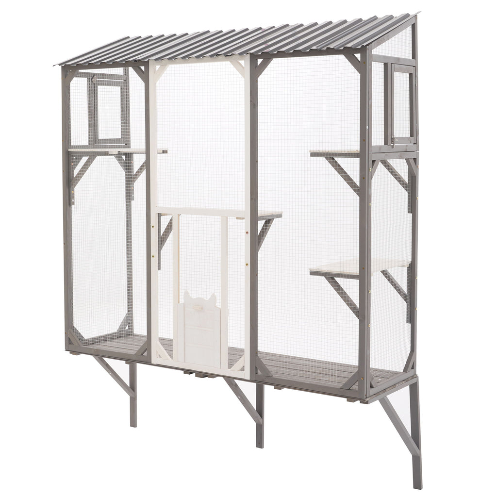 Outdoor Cat Catio With Platforms