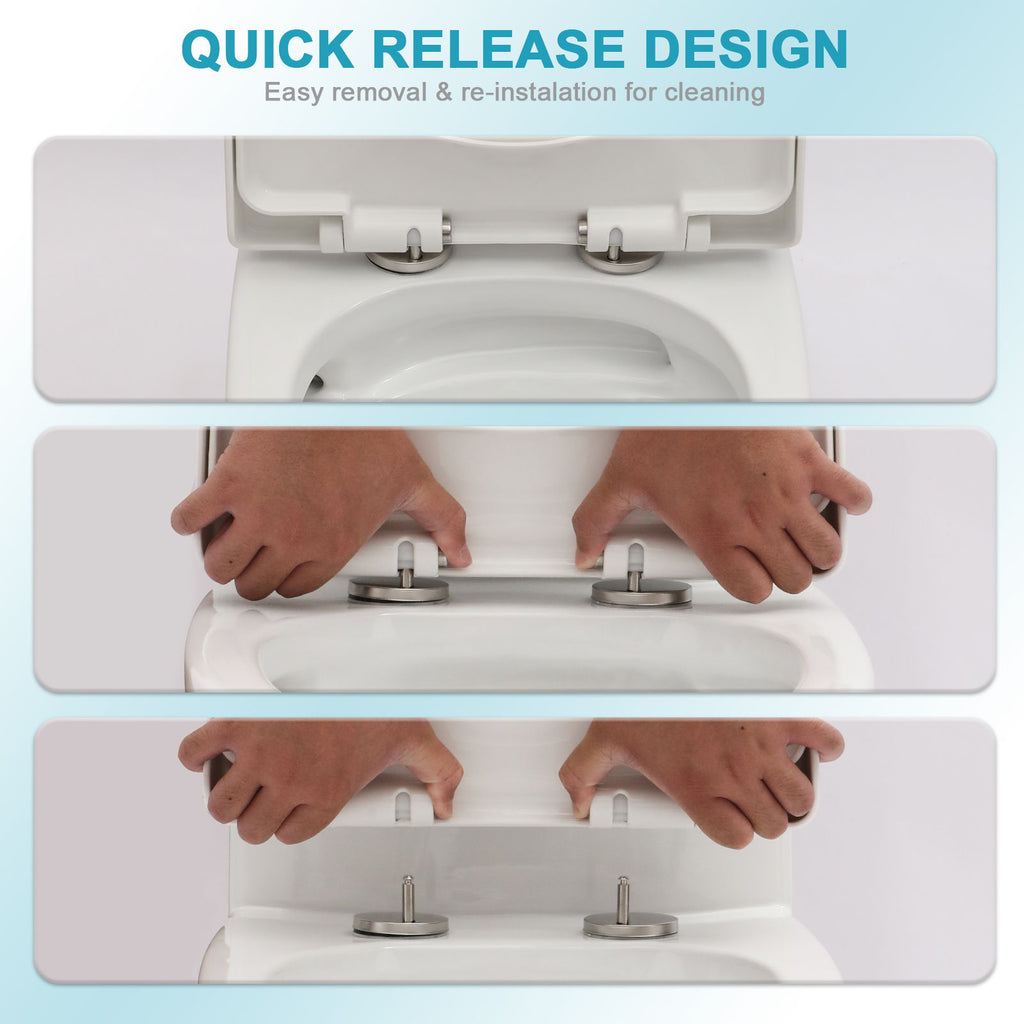 1 Piece Toilet For Bathroom, Dual Flush 1.24 / 1.6 Gpf, Soft Closing Seat - White
