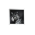 Talisha - Wall Art - Mirrored & Faux Crystal Leopard