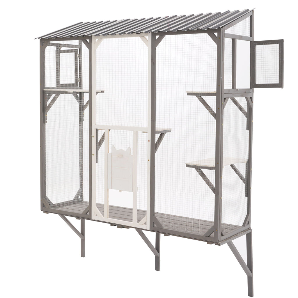 Outdoor Cat Catio With Platforms