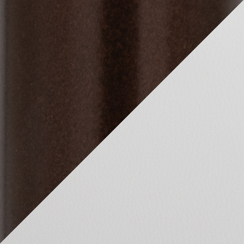 Renee - Contemporary Distinctive Design Chair