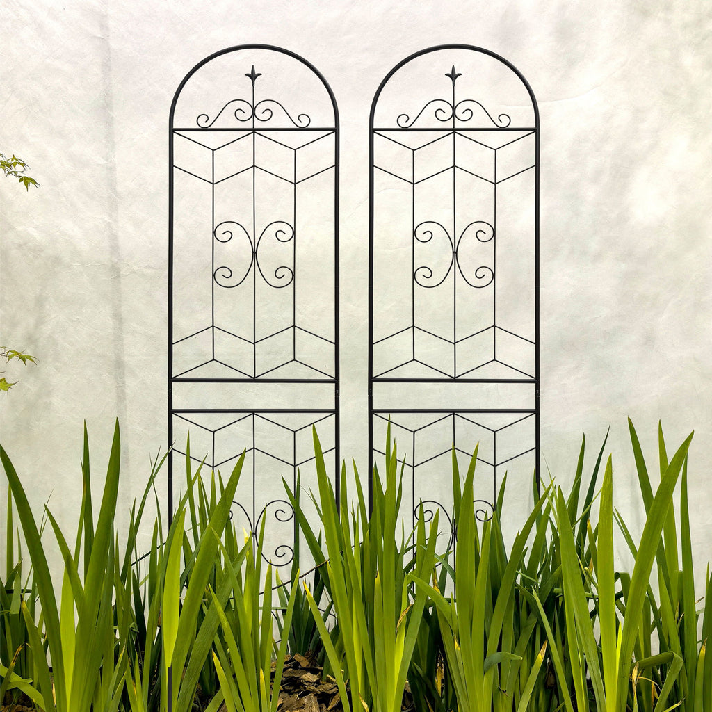 Garden Trellis, Rustproof Support For Climbing Plants