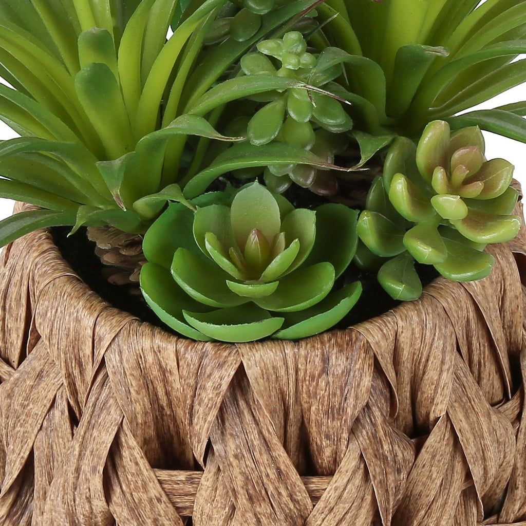 Artificial Succulent, Table Decor (Set of 2) - Green