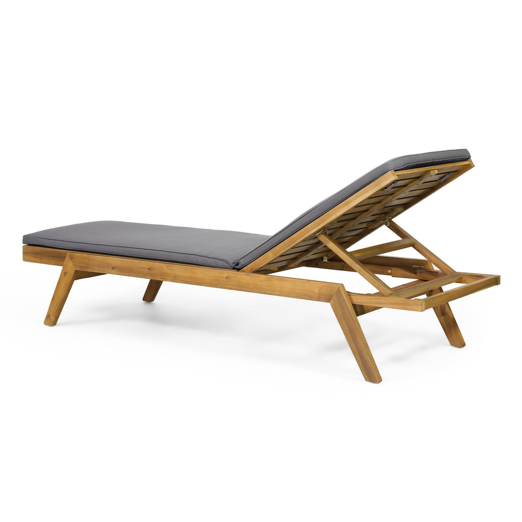Nebulon - Outdoor Adjustable Chaise Lounge With Water Resistant Cushions (Set of 2)